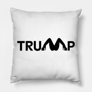 Stormy daniels, trump, team stormy Pillow