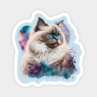 Bundle of love - Ragdoll cat, Purr-fect valentine gift for the feline-loving pet lover! Magnet