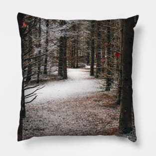 Photo of Mysterious Forest Trail Covered with Snow V2 Pillow