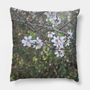 Almond tree branches and flowers Pillow