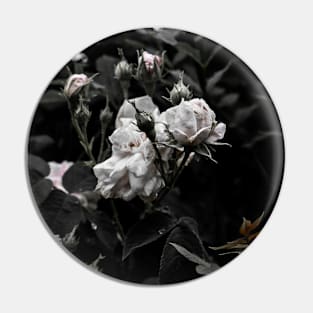 Bloom. Pin