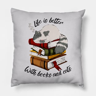 Books and Cats Pillow