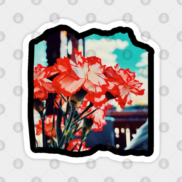 Red flowers - Photography collection Magnet by Boopyra