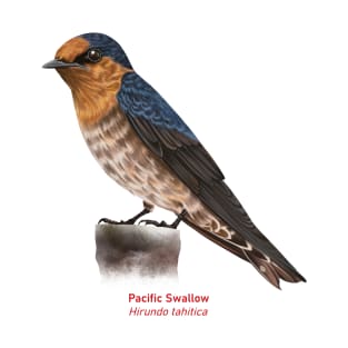 Pacific Swallow | Hirundo tahitica T-Shirt