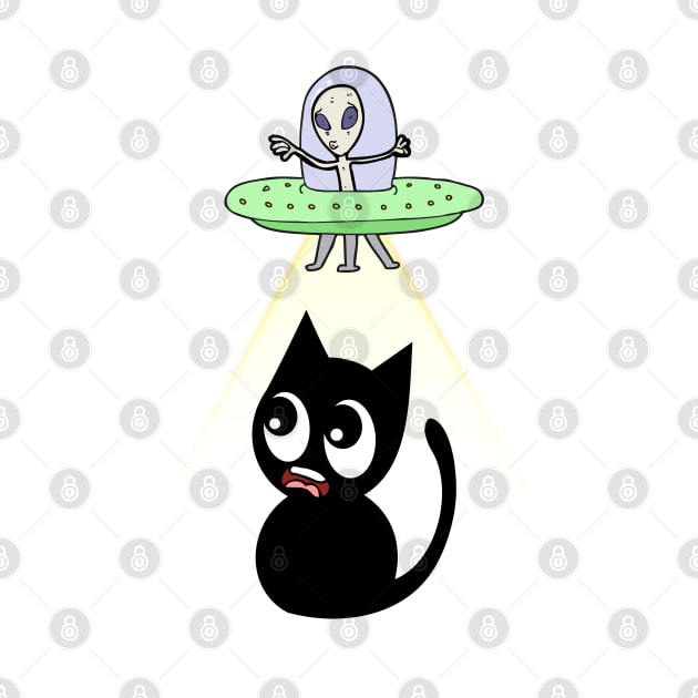 Funny black cat is being abducted by aliens by Pet Station