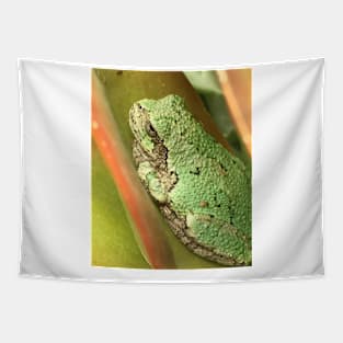 Succulent Tree Frog Tapestry