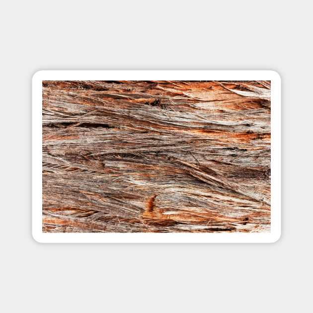 Rustic Orange Stringy Bark Tree Magnet by textural