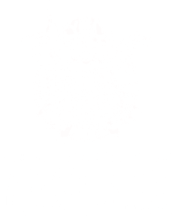 Viking God Odin - One's Back Is Vulnerable Unless One Has A Brother Magnet