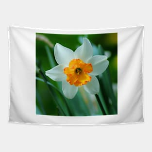 White And Yellow Narcissus Flower Tapestry