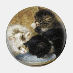 Kittens drinking from a saucer Pin