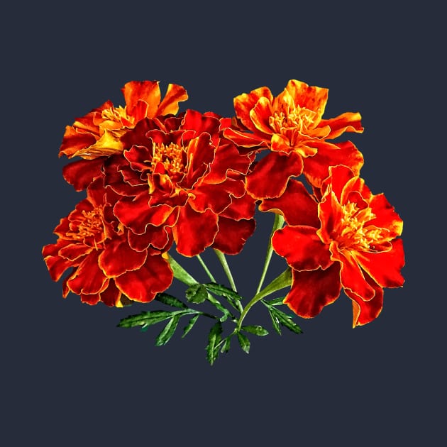 Marigolds - Bouquet of Marigolds by SusanSavad