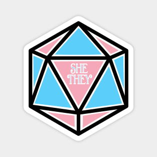 Trans Pronoun Pride D20 She / They Magnet