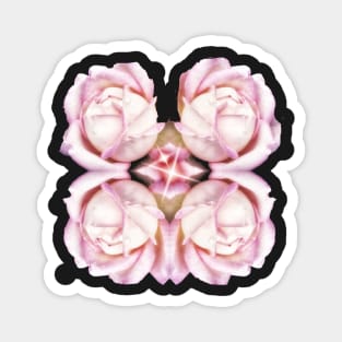 Four pink color delicate roses with centered glitter Magnet