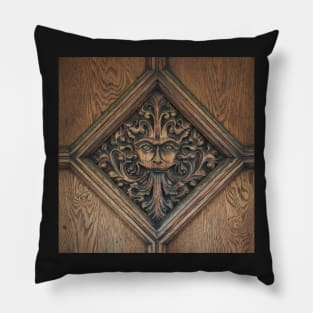 The Narnia Door Pillow