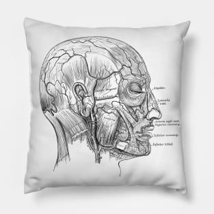 Human Body - Head Pillow