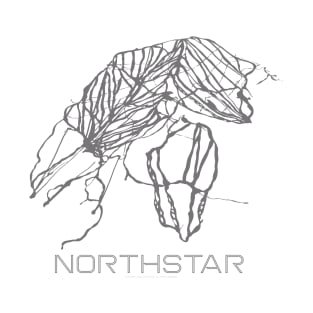 Northstar Resort 3D T-Shirt