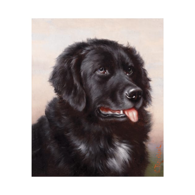 Newfoundlander Dog Portrait (circa 1900) by Carl Reichert by Naves