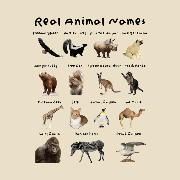 Real Animal Names - Animals - T-Shirt | TeePublic