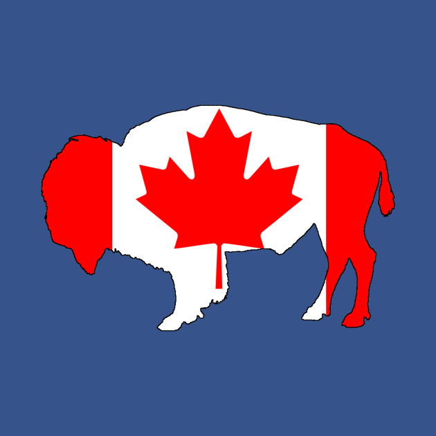 Disover Canada Bison - Canada Flag - T-Shirt