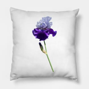 Iris Pillow