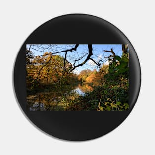 Wanstead Park Pin