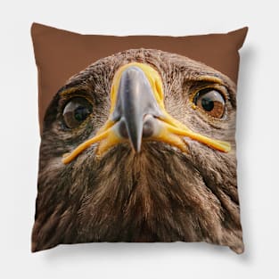 Tawny stare Pillow