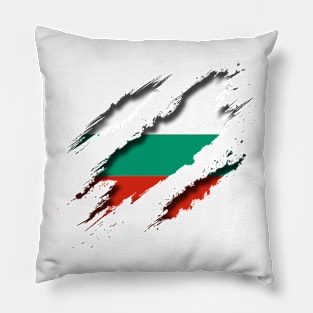 Bulgaria Shredding Pillow