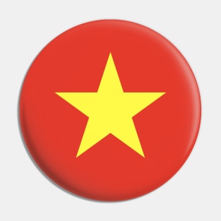 Vietnam Pin