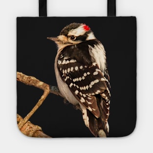 Downy Woodpecker with no background Tote