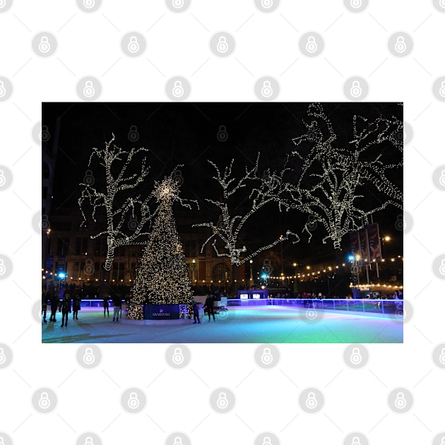 Xmas Ice rink at the Natural History Museum by LeighsDesigns