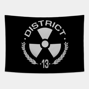 District 13 Tapestry