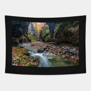 River in limestone canyon Tapestry