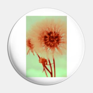 Dandelion II Pin