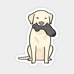 Labrador dog eating sock Magnet