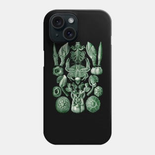 Ernst  Haeckel Cirripedia Crab Green Phone Case