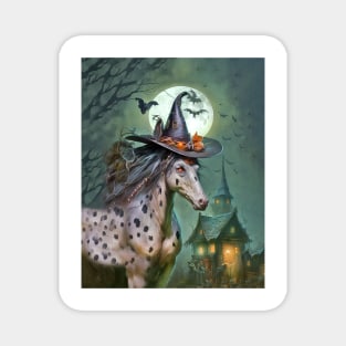 Appaloosa Spooky Halloween Witch Horse Magnet