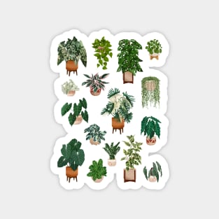 House plants collection 5.12 Magnet