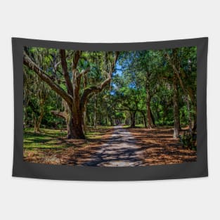 Cumberland Island National Seashore Tapestry