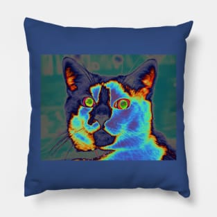 Blue Kitty Pillow