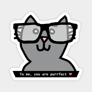 Portrait of Perfect Cat in Glasses Says You Are Purrfect Magnet