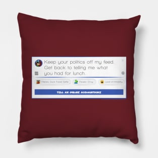 Keep your politics off my feed Pillow