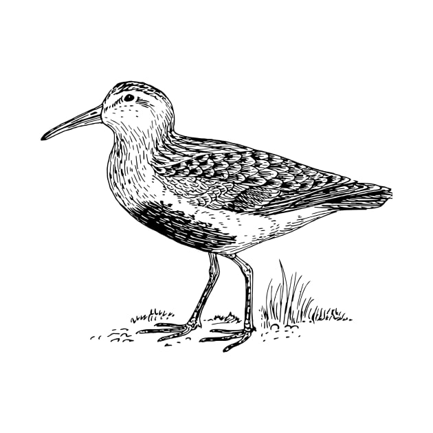 Dunlin by linesdesigns