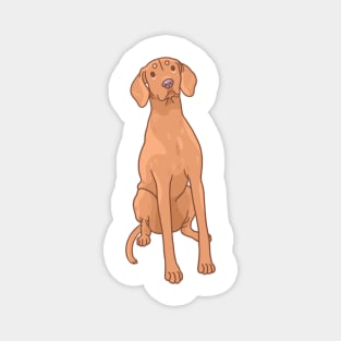 Vizsla Magnet