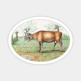 Cow (1575–1580) Magnet