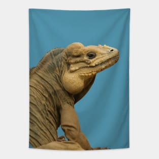 Handsome Rhinoceros Iguana Tapestry