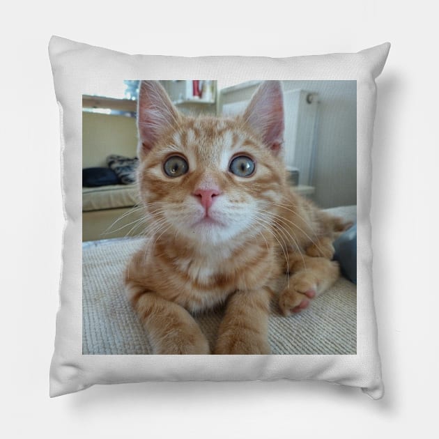 Woody the cat Pillow by kathyarchbold