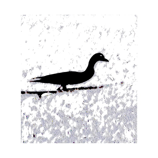 Frozen Duck Duck Shadow by Tovers