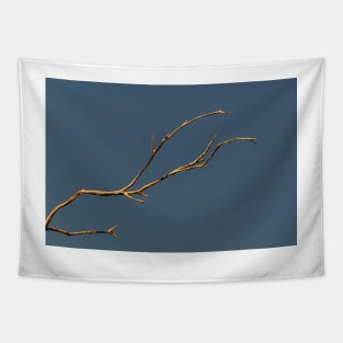 Branch Tapestry