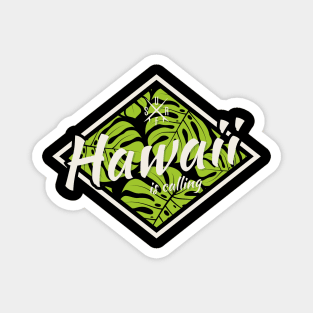 Hawaii surf design, print, typography Magnet