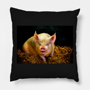 Who Are You Calling A Pig? Pillow